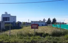 Lote - 495 e/ 137 y 138