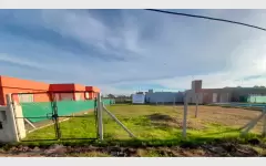 Lote - 230 y 43