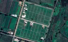 Lote - 486 y 148