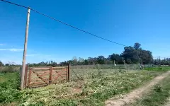 Lote - 642 y 9