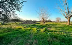 Lote - 38 e/ 171 y 173