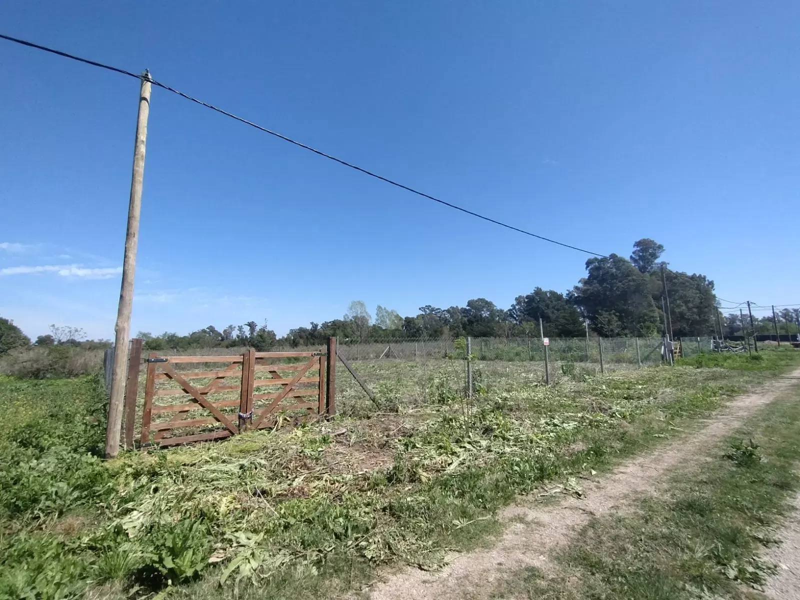Lote - 642 y 9