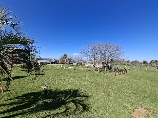 Miniatura adicional
