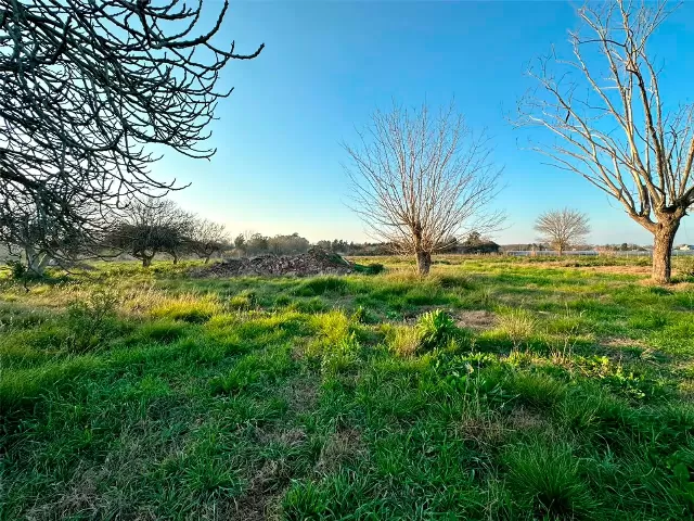Lote en 38 e/ 171 y 173