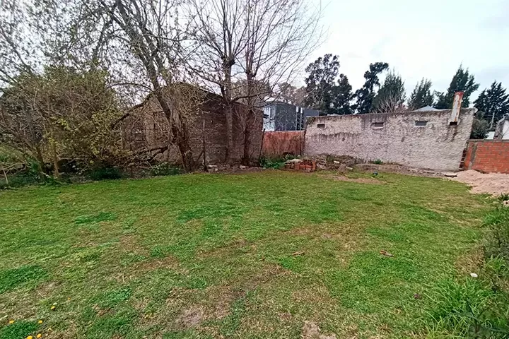 Lote - 484 e/ 31 y 31 bis